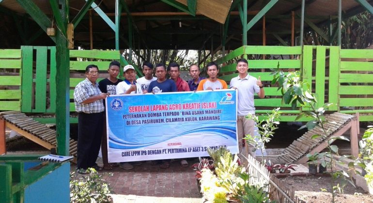 CARE LPPM IPB Gandeng PT. Pertamina EP Asset 3 Subang Field Kembangkan Stasiun Lapang Agro Kreatif  (SLAK) Peternakan Domba Terpadu di Desa Pasirukem, Cilamaya Kulon