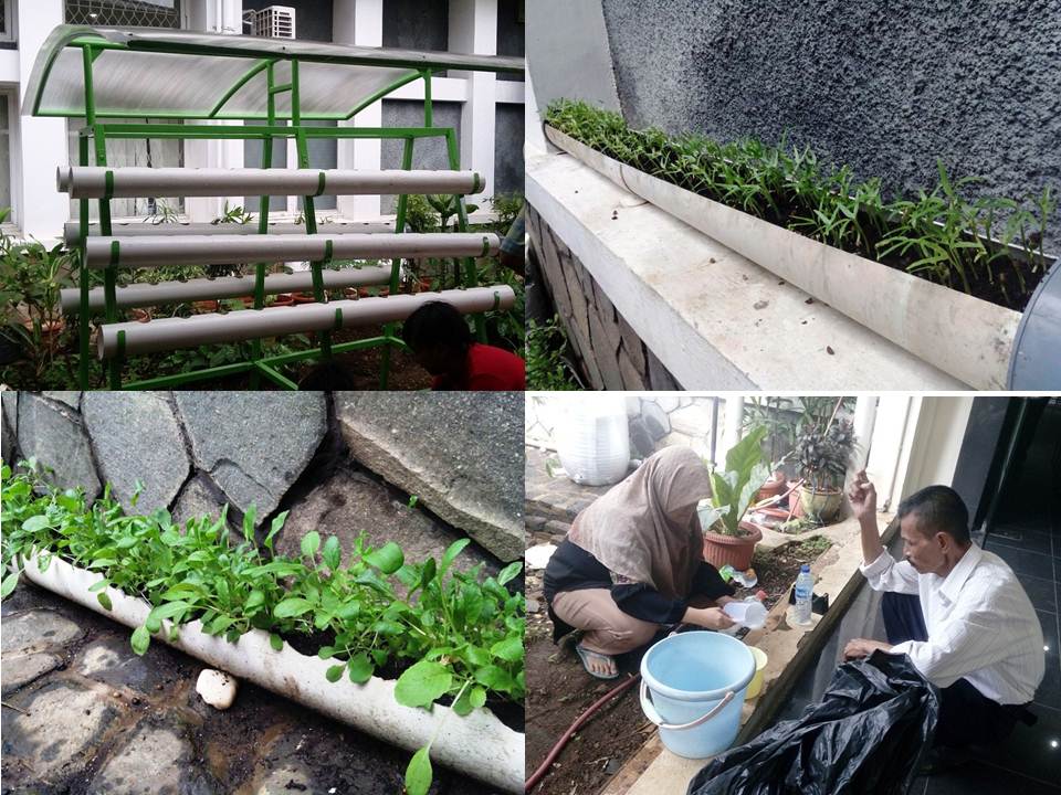 urban farming